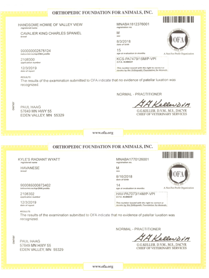 news, article, paul, haag, dog, breeder, ofa, eden, vally, mn, Paul-haag, dog-breeder, eden-valley, kennel, usda, mn, minnesota, puppy, mill, puppymill, mnpba, inspected, inspection, report, reports, 