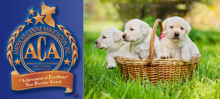 ACA News - American Canine Association awards the 